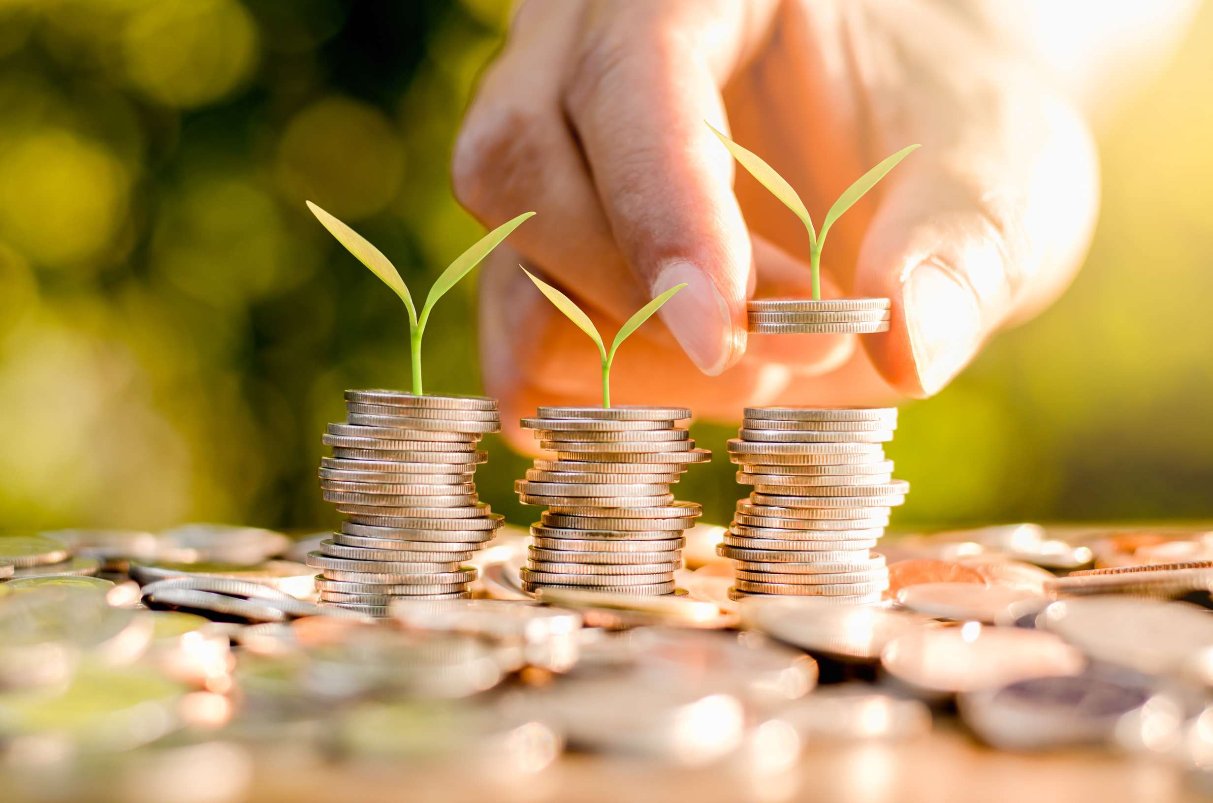 Coins Stacked Seedlings Growing On 600w 746614858